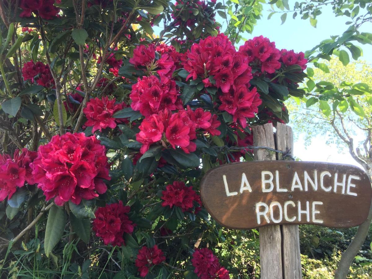 La Blanche Roche Bed & Breakfast Sourdeval Dış mekan fotoğraf